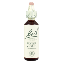 Bach Water Violet (1x20 ML)
