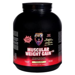 Healthy 'N Fit Muscular Weight Gain 2 - Vanilla - 4.4 Lb.